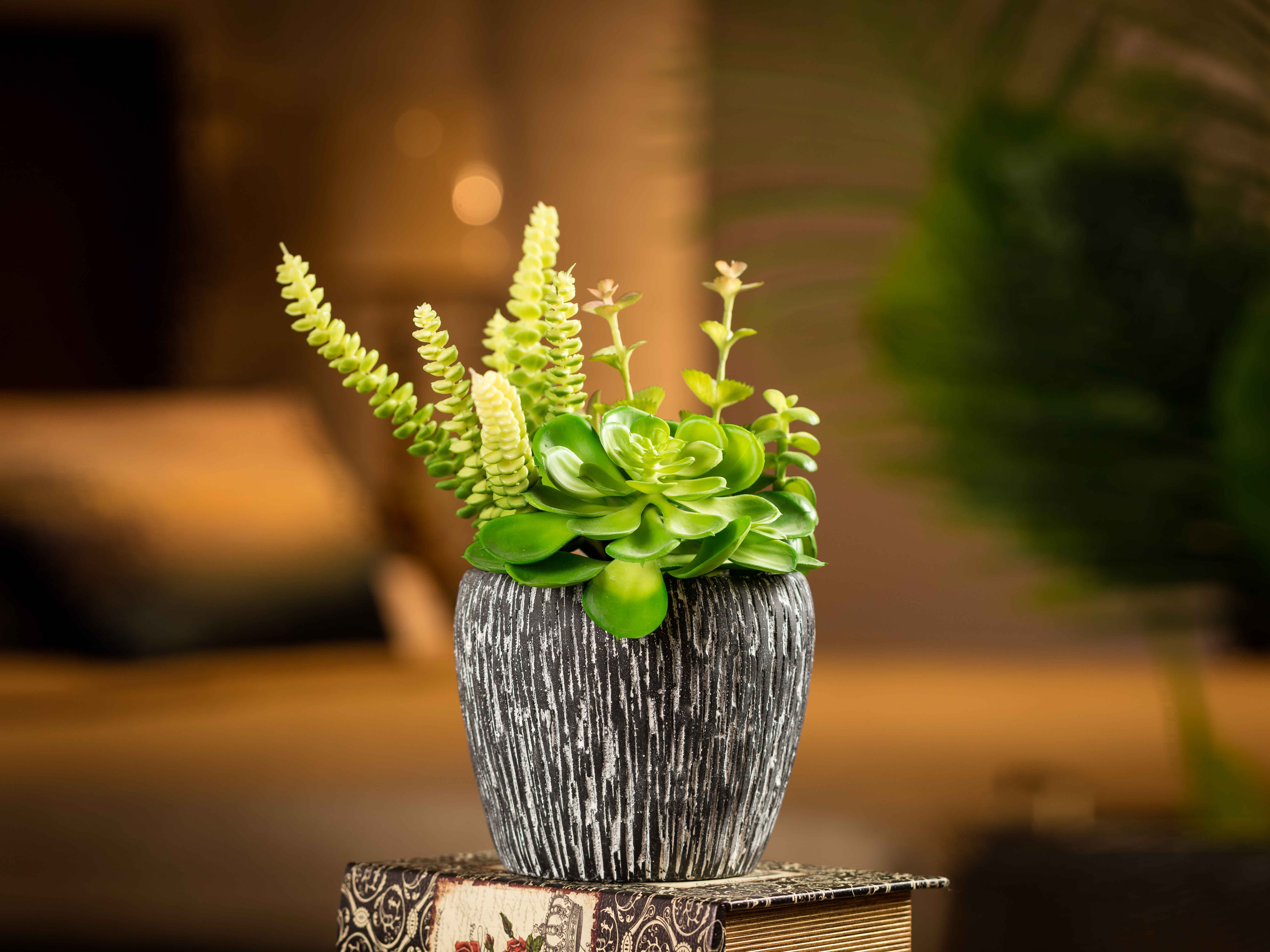 Artificial Flower - Succulent In Cement Pot Large
